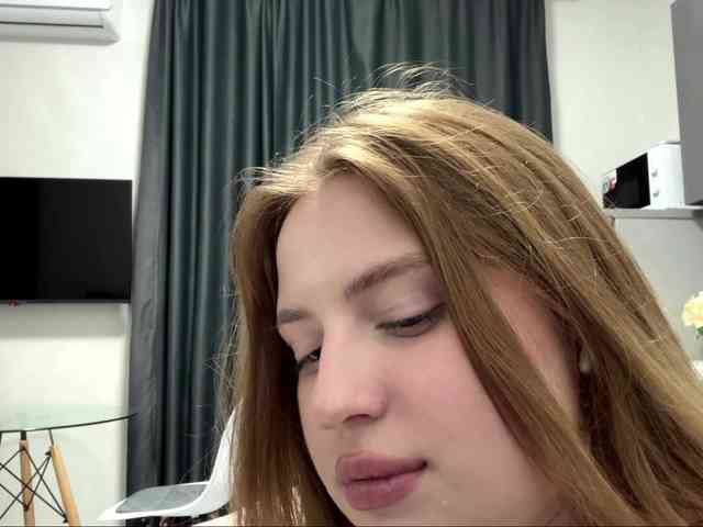 pandadream webcam
