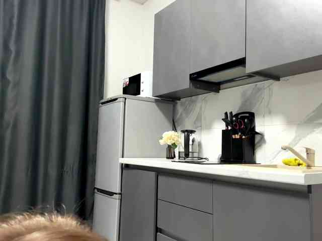 pandadream webcam