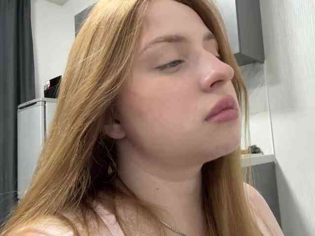 pandadream webcam