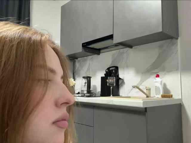 pandadream webcam