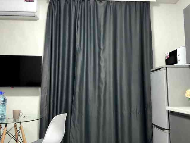 pandadream webcam