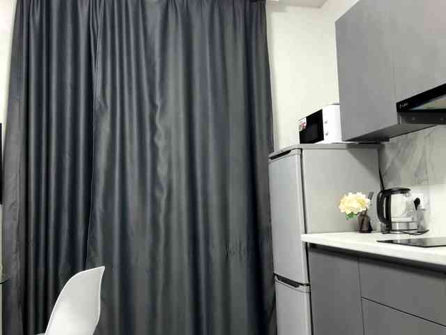 pandadream webcam