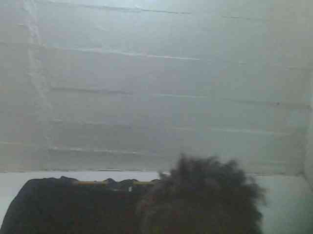 Kalinah457 webcam