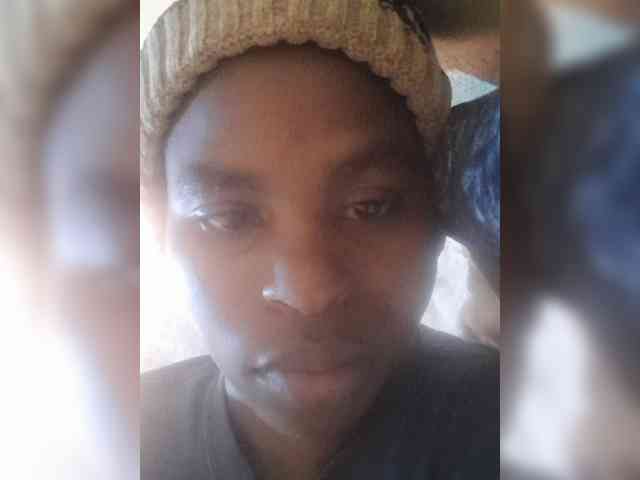 Model: Brownkinky2