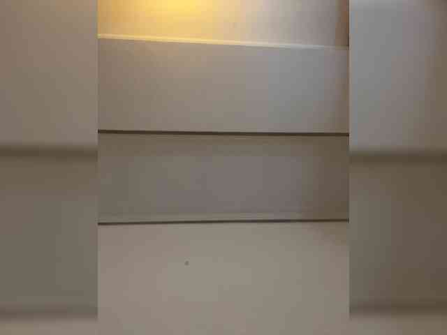 Manynya2 webcam