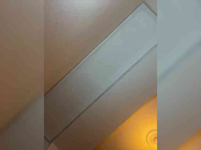 Manynya2 webcam