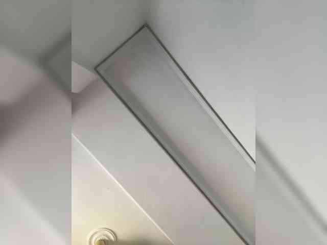 Manynya2 webcam