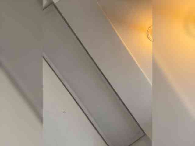 Manynya2 webcam