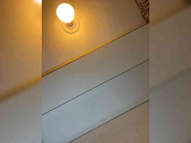 Manynya2 webcam