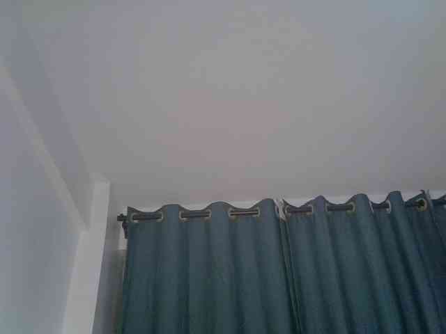 Prettyluxe webcam