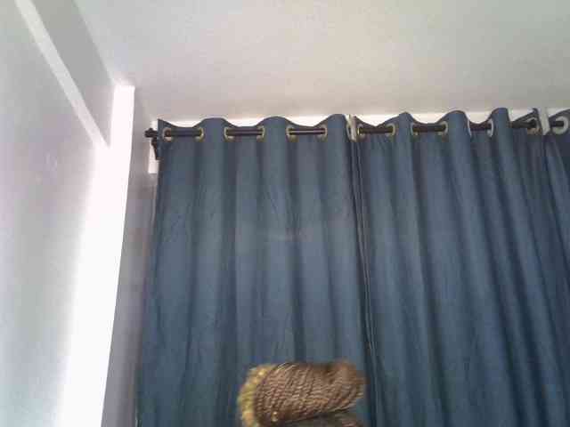Prettyluxe webcam