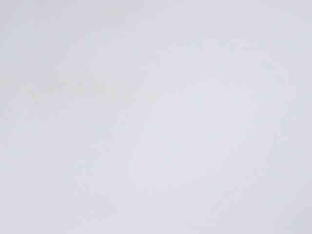 cinnamongirl webcam