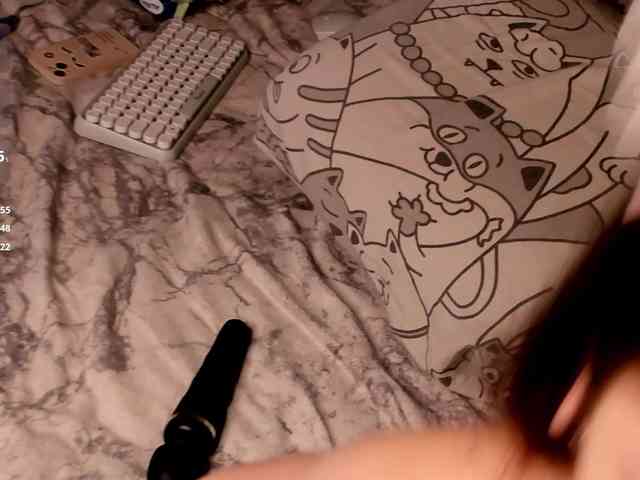 Dia_Tony webcam
