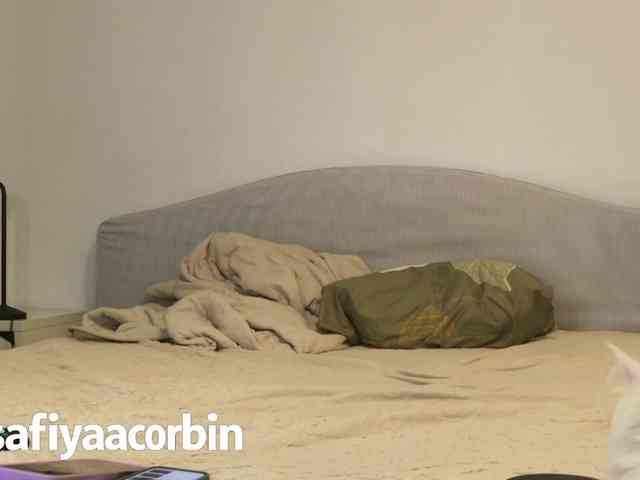 Safiyacorbin webcam