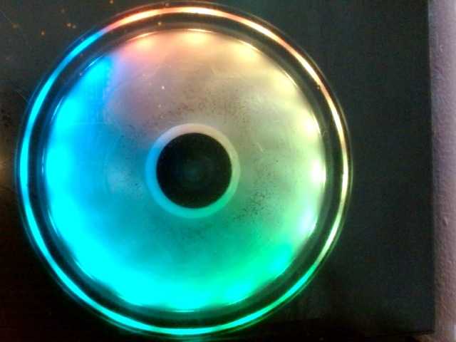 alissoncastro1996