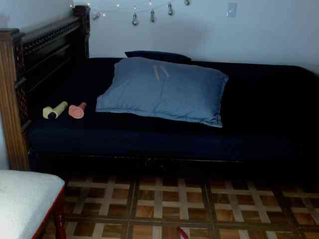 alissoncastro1996 webcam