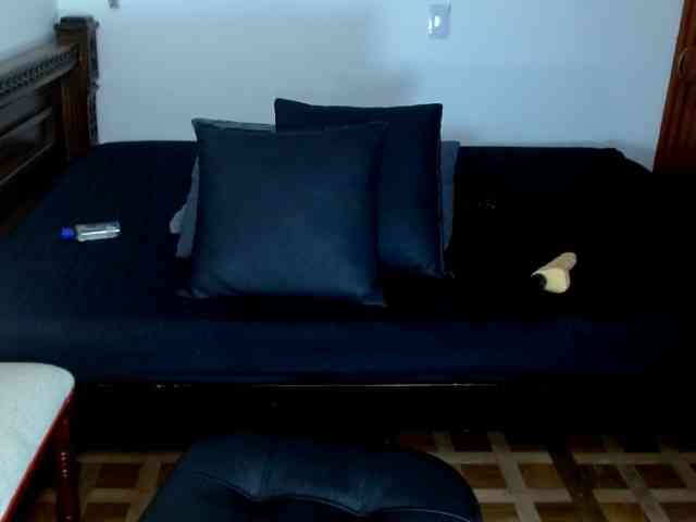 alissoncastro1996 webcam