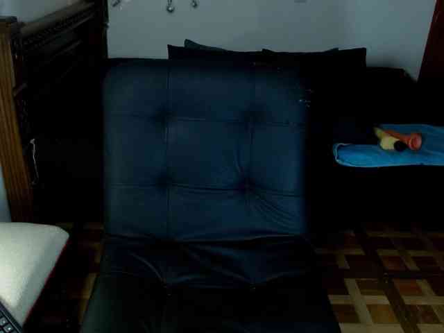 alissoncastro1996 webcam