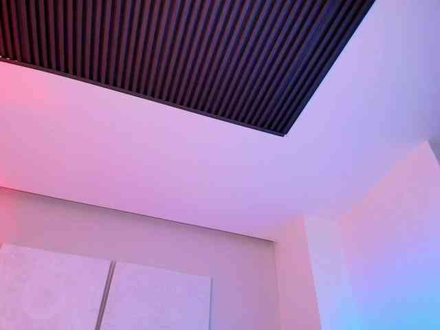 Morbidrabbits webcam