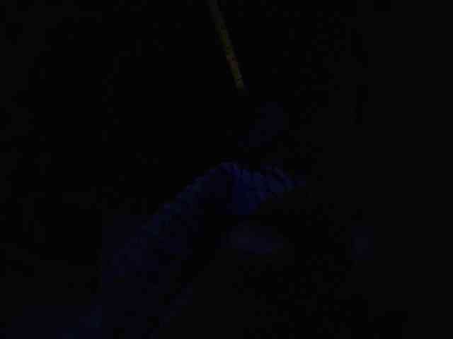 Nikolaev0920101 webcam