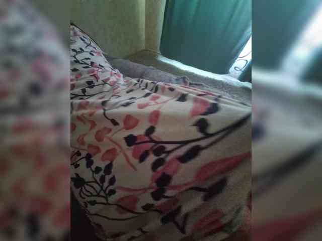 Nikolaev0920101 webcam