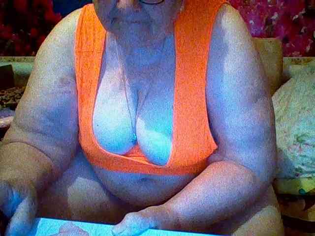 modelfik webcam
