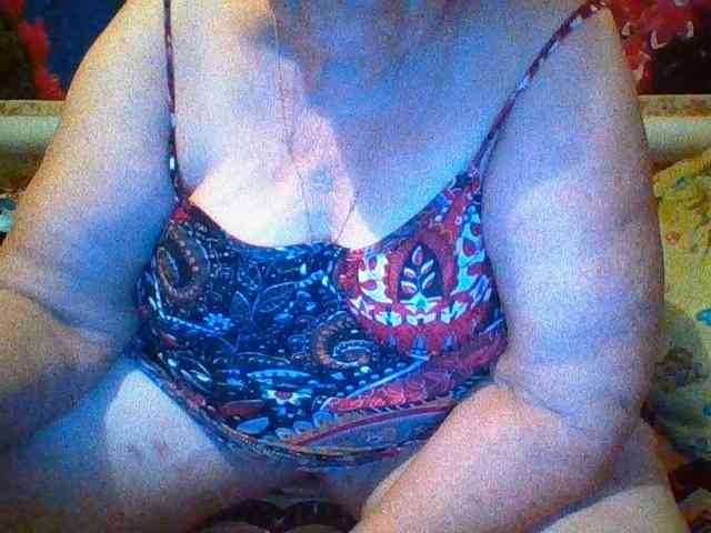 modelfik webcam