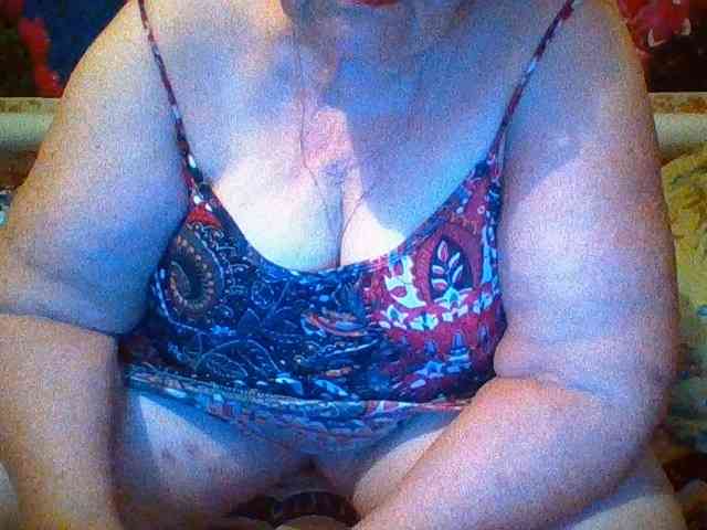 modelfik webcam