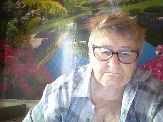 modelfik webcam