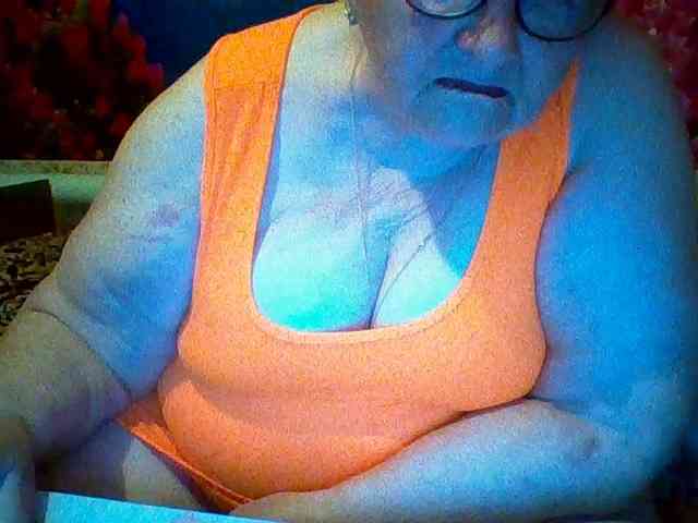 modelfik webcam