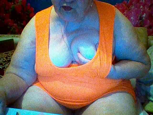 modelfik webcam