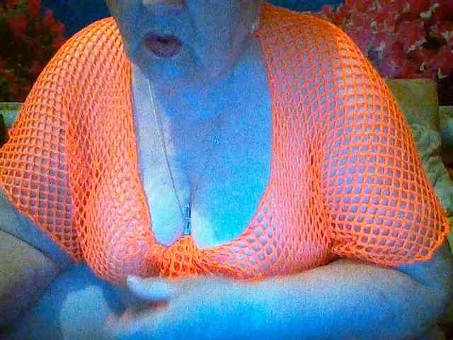 modelfik webcam