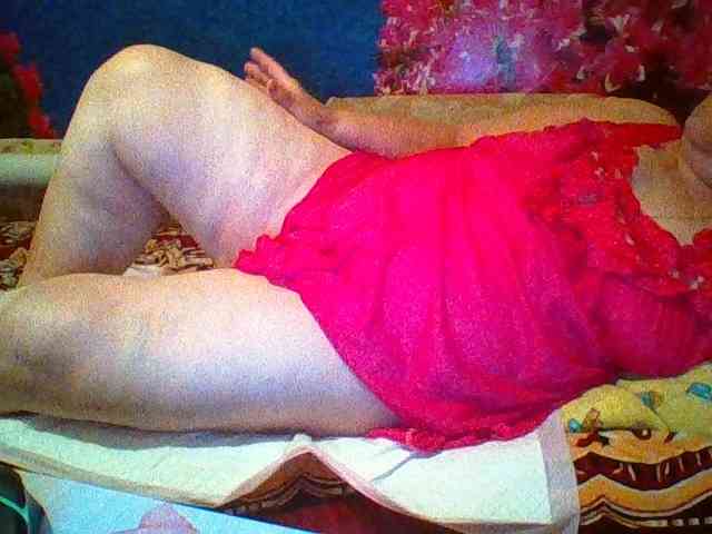 modelfik webcam