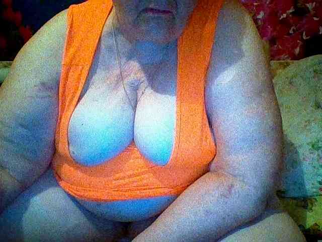 modelfik webcam
