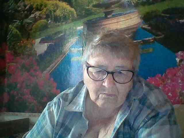 modelfik webcam