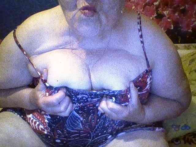 modelfik webcam