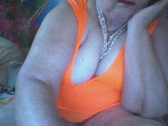 modelfik webcam