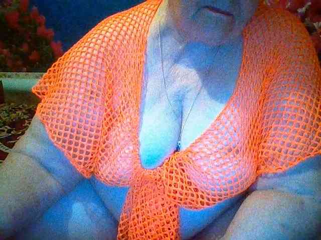 modelfik webcam
