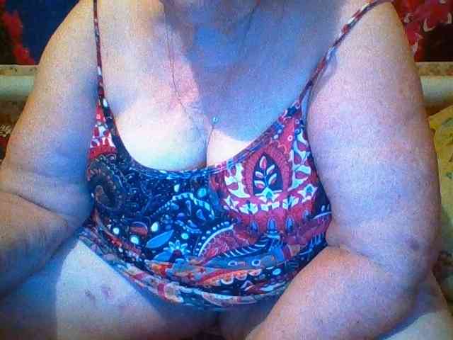 modelfik webcam