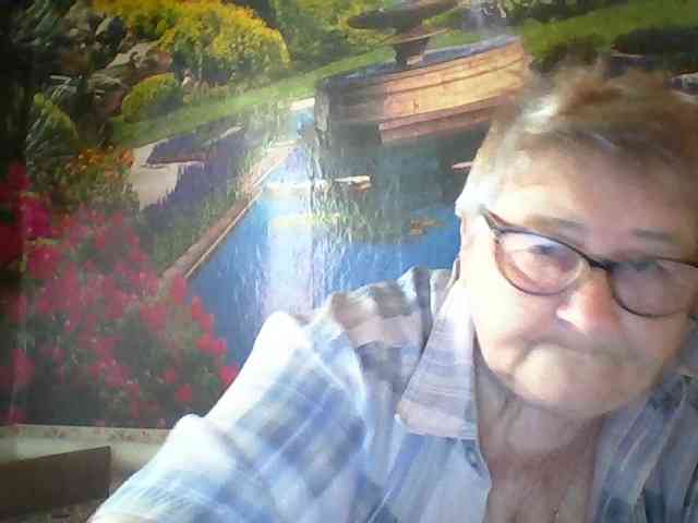 modelfik webcam