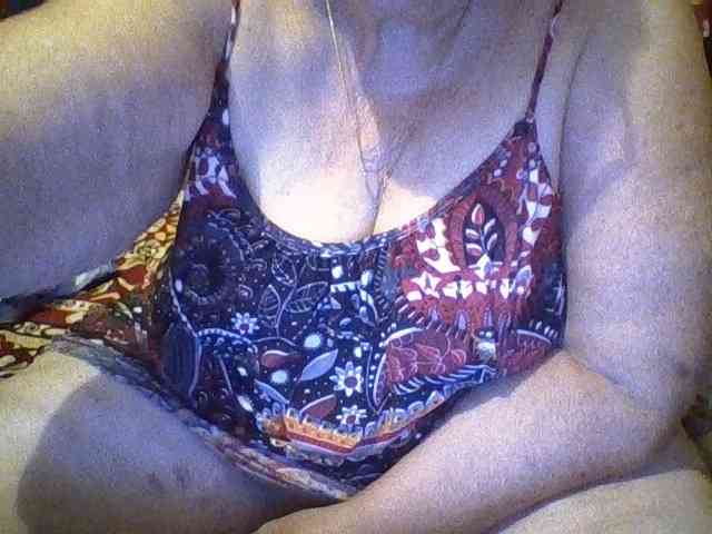 modelfik webcam