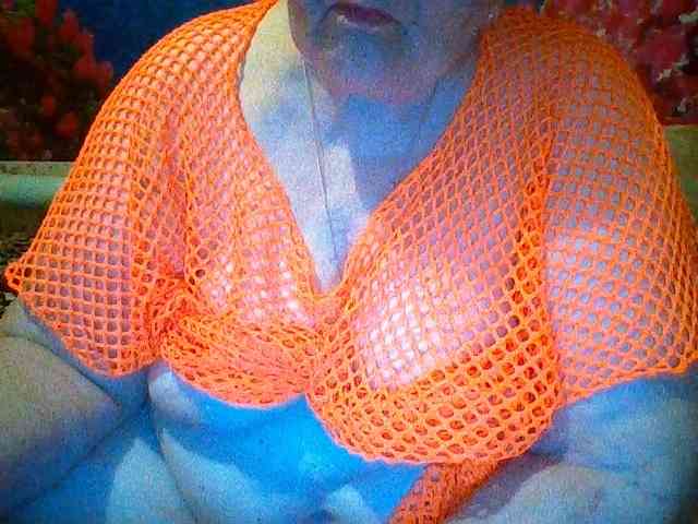 modelfik webcam