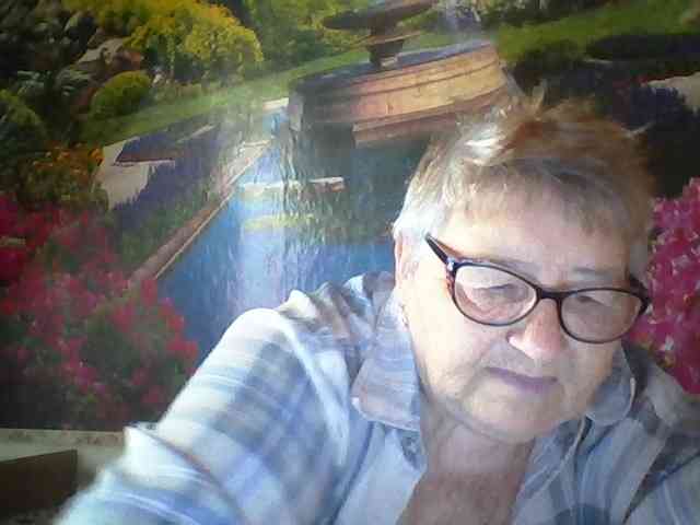 modelfik webcam