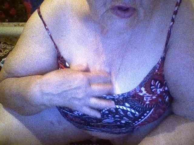 modelfik webcam