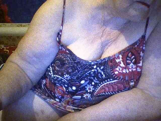 modelfik webcam