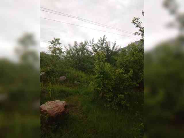 kgoryachaya webcam