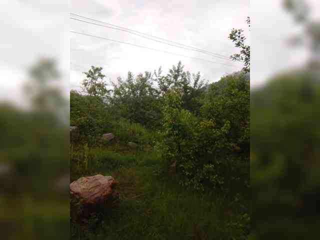 kgoryachaya webcam