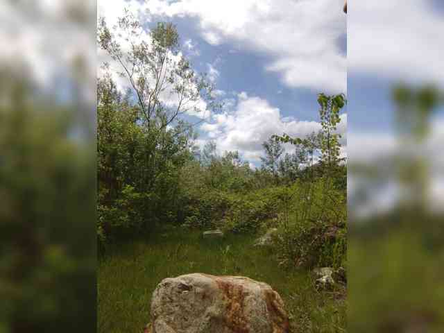 kgoryachaya webcam