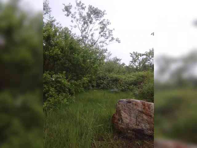 kgoryachaya webcam