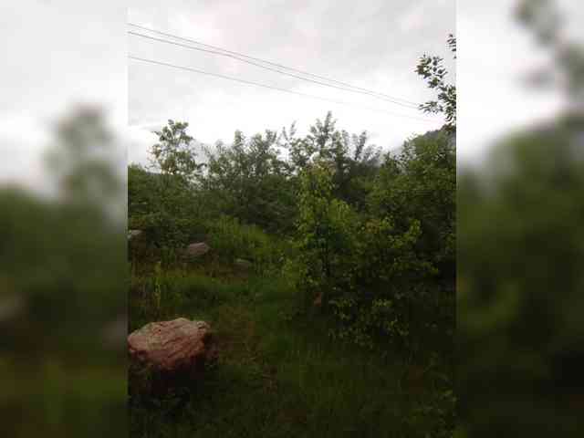 kgoryachaya webcam